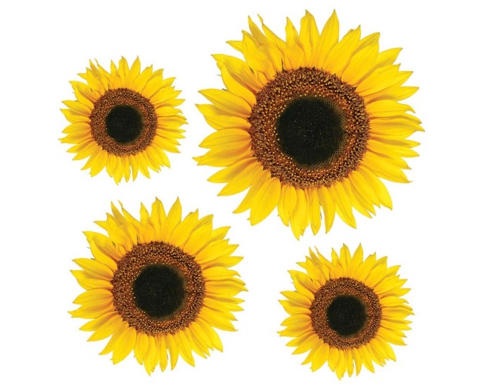 Sunflower αυτοκόλλητα τοίχου βινυλίου ΔΙΑΚΟΣΜΗΤΙΚΑ ΤΟΙΧΟΥ