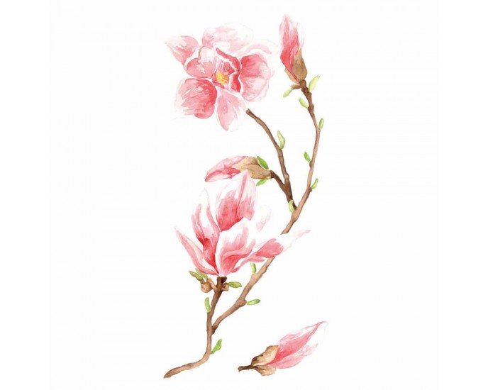 Magnolia αυτοκόλλητα τοίχου βινυλίου ΔΙΑΚΟΣΜΗΤΙΚΑ ΤΟΙΧΟΥ