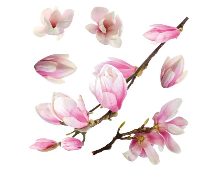 Magnolia αυτοκόλλητα βινυλίου για τζάμι ΔΙΑΚΟΣΜΗΤΙΚΑ ΤΟΙΧΟΥ