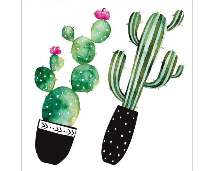 Watercolour Cactus αυτοκόλλητα τοίχου βινυλίου ΔΙΑΚΟΣΜΗΤΙΚΑ ΤΟΙΧΟΥ