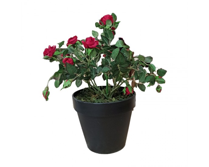Artekko Rose Τεχνητή Κόκκινη Υφασμάτιμη Τριανταφυλλιά 40cm ΓΛΑΣΤΡΑΚΙΑ-ΦΥΤΑ