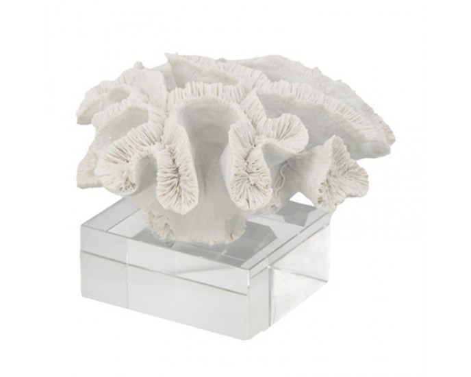 Artekko Ute Διακοσμητικό Άσπρο Κοράλι σε Γυάλινη Βάση  (23x2216)cm ΓΕΝΙΚΑ ΔΙΑΚΟΣΜΗΤΙΚΑ