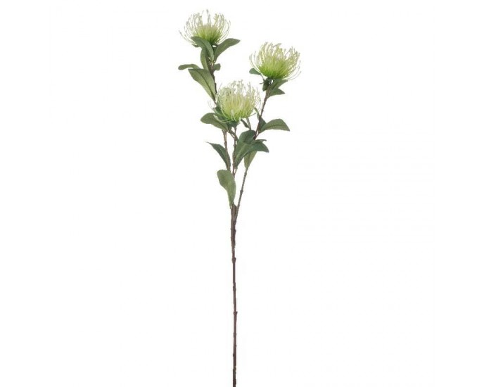Artekko Protea Τεχνητό κλαδί Πλαστικό Πράσινο (20x10x83)cm ΓΛΑΣΤΡΑΚΙΑ-ΦΥΤΑ