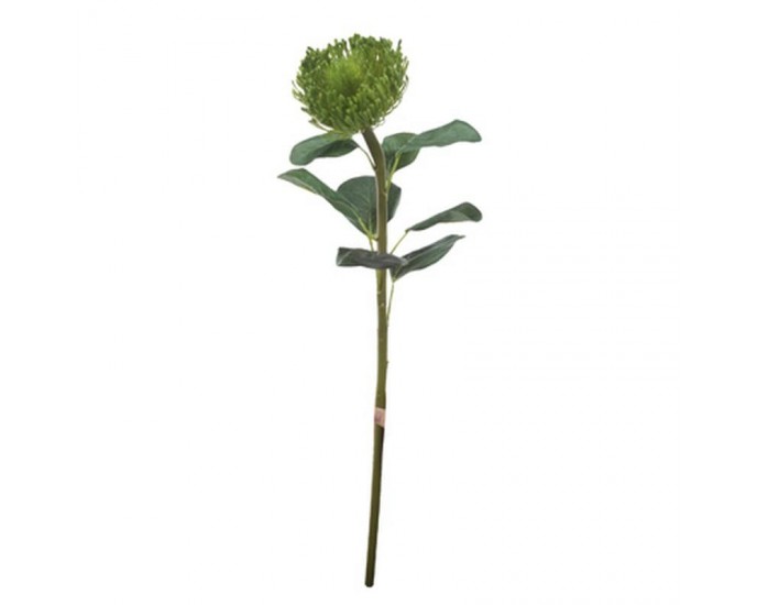 Artekko Ofollo Τεχνητό Λουλούδι Πράσινο (71x71x13)cm ΓΛΑΣΤΡΑΚΙΑ-ΦΥΤΑ