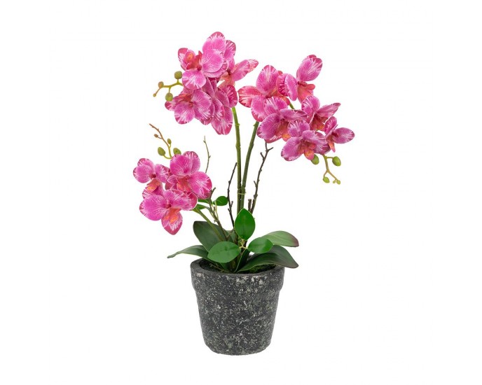 Artekko Orchid Τεχνητή Πλαστική Ροζ Ορχιδέα σε Γλάστρα (26x12x46)cm ΓΛΑΣΤΡΑΚΙΑ-ΦΥΤΑ