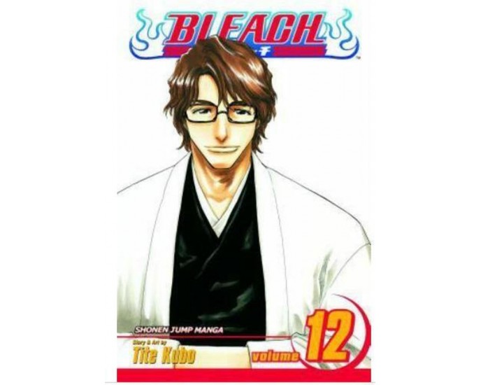 Viz Bleach Vol. 12 Paperback Manga 