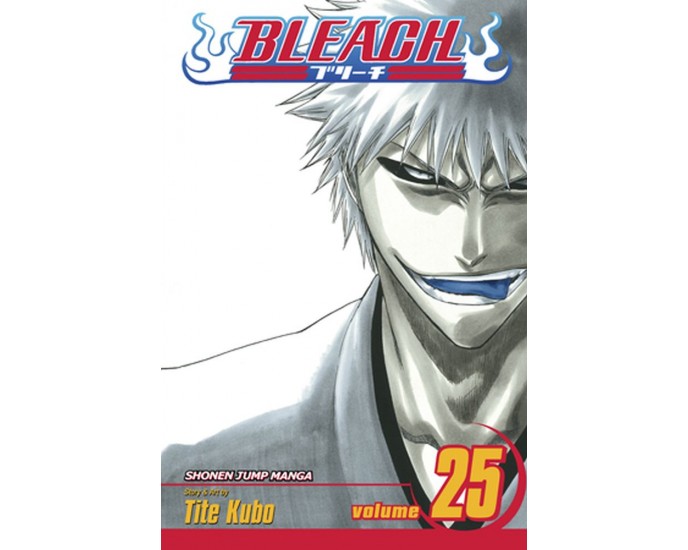 Viz Bleach Vol. 25 Paperback Manga 