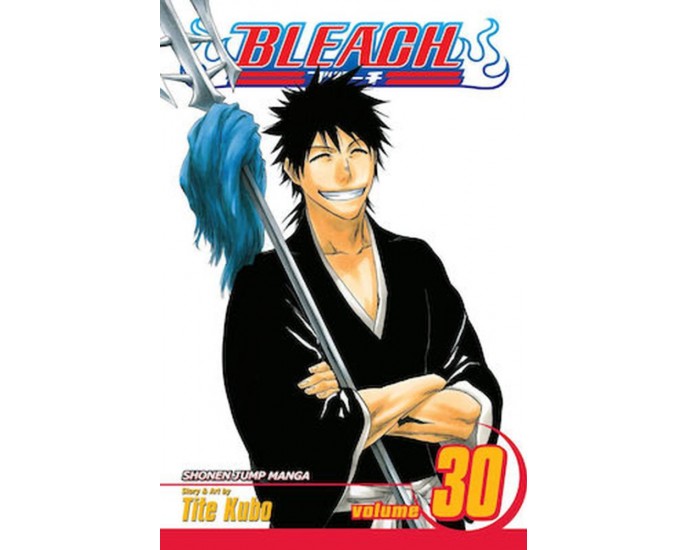 Viz Bleach Vol. 30 Paperback Manga 