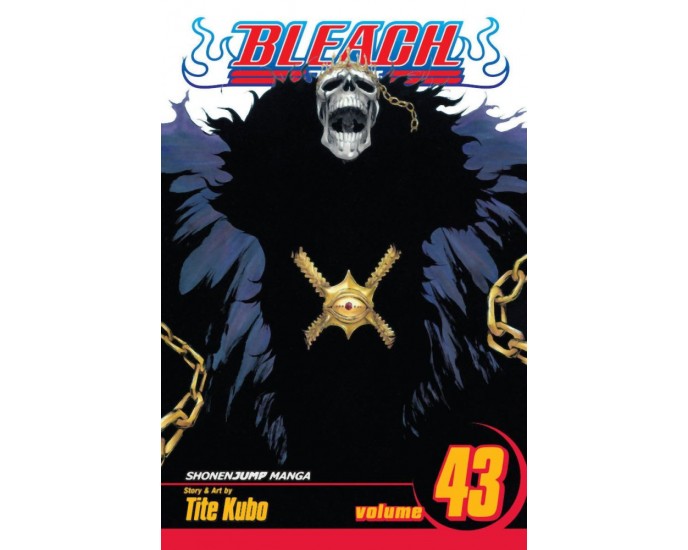 Viz Bleach Vol. 43 Paperback Manga 