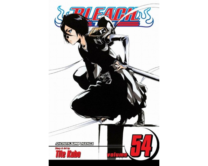 Viz Bleach Vol. 54 Paperback Manga 