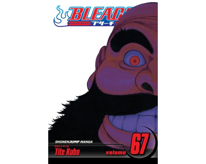 Viz Bleach Vol. 67 Paperback Manga 