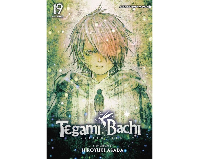Viz Tegami Bachi GN Vol. 19 Paperback Manga 