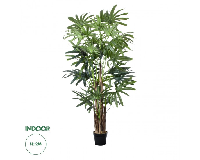 GloboStar® Artificial Garden BROADLEAF LADY PALM TREE 20385 Τεχνητό Διακοσμητικό Φυτό Πλατύφυλλος Φοίνικας Μπαμπού Υ200cm 