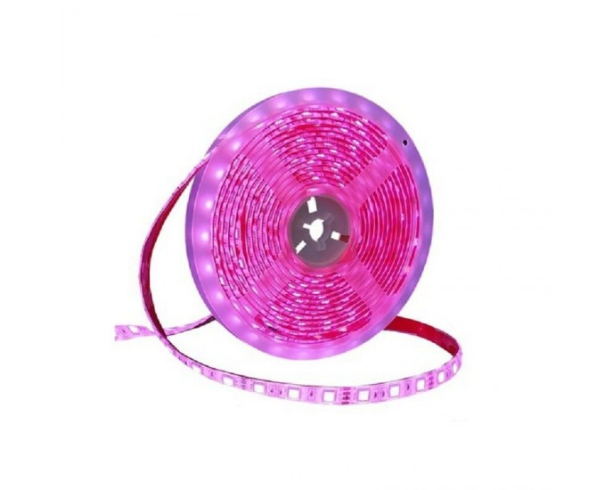 Ταινία LED – LED Strip - IP65 - 5m - Pink - 891207