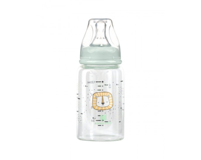 Glass feeding bottle 120ml Savanna Mint