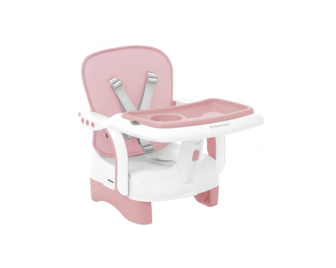 Booster seat Chewy Pink