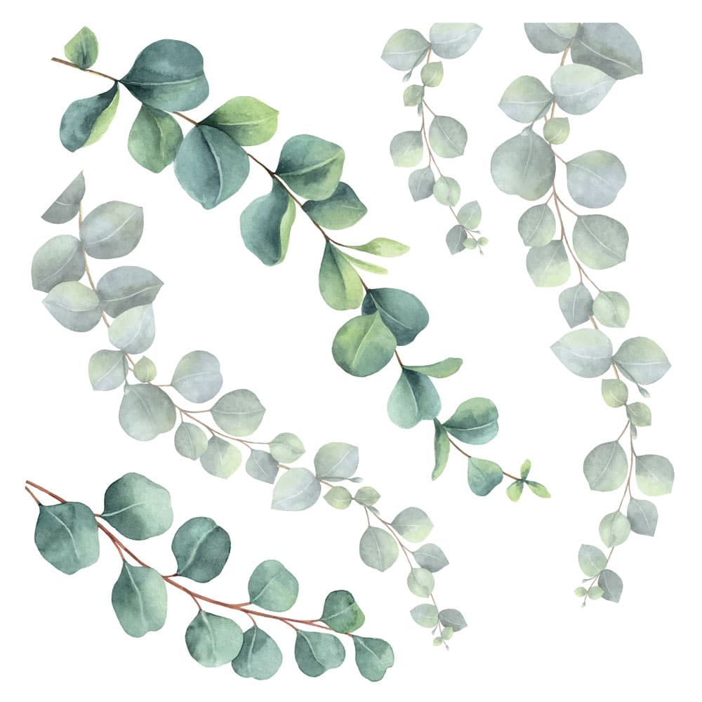Eucalyptus αυτοκόλλητα τοίχου βινυλίου (54120)