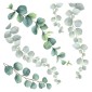 Eucalyptus αυτοκόλλητα τοίχου βινυλίου (54120)