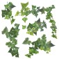 Ivy αυτοκόλλητα τοίχου βινυλίου