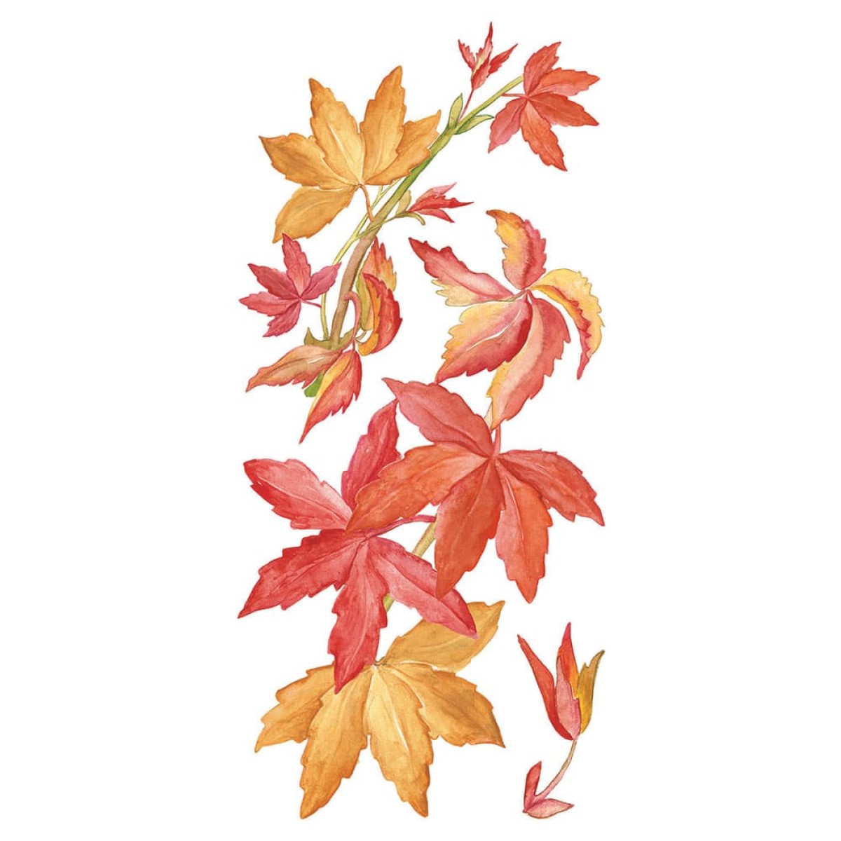 Virginia Creeper αυτοκόλλητα τοίχου βινυλίου