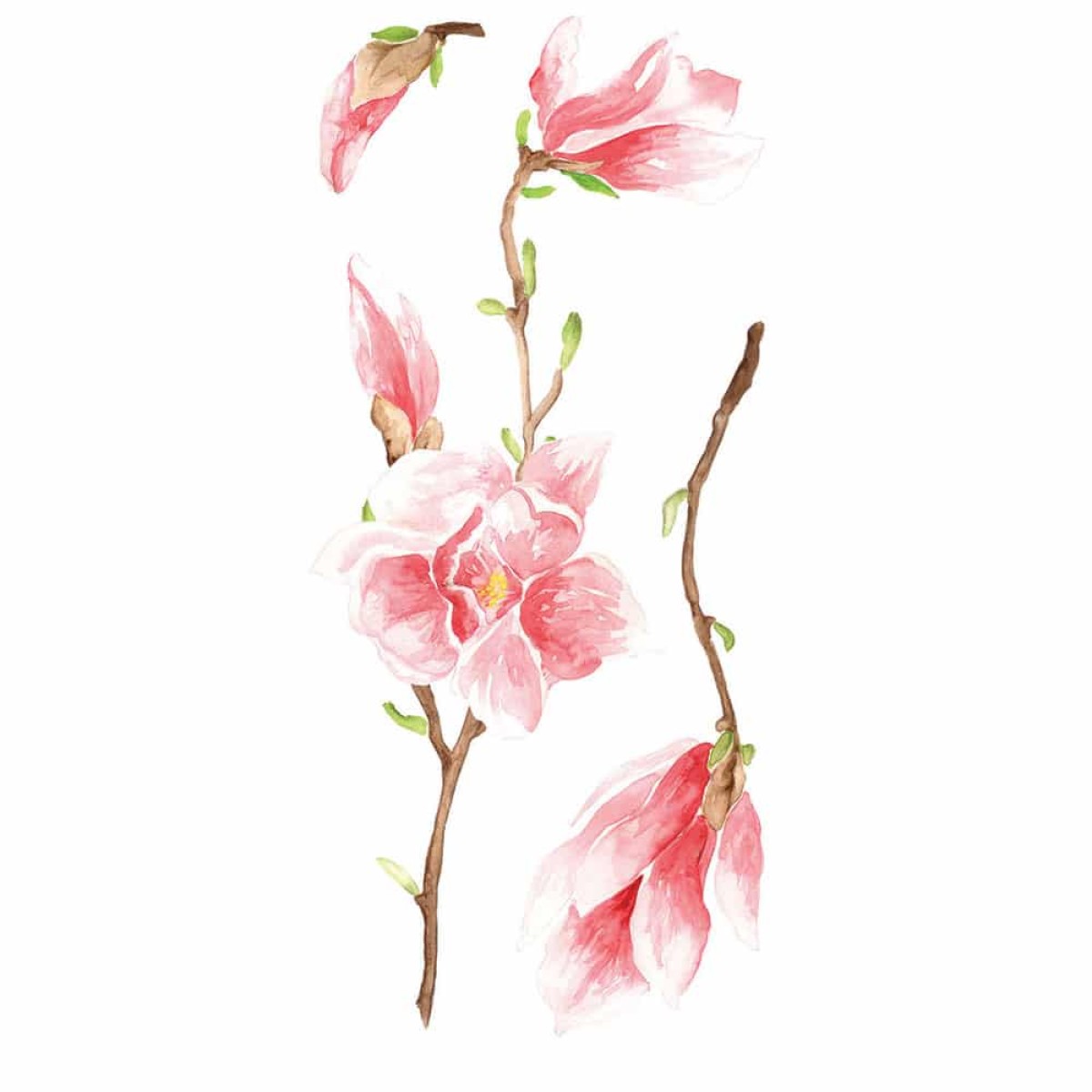 Magnolia αυτοκόλλητα τοίχου βινυλίου