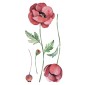 Poppies αυτοκόλλητα τοίχου βινυλίου (59180)