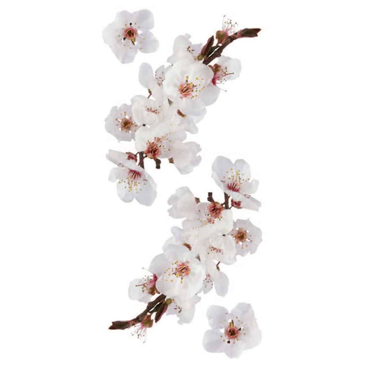 Photographic Blossom αυτοκόλλητα τοίχου βινυλίου