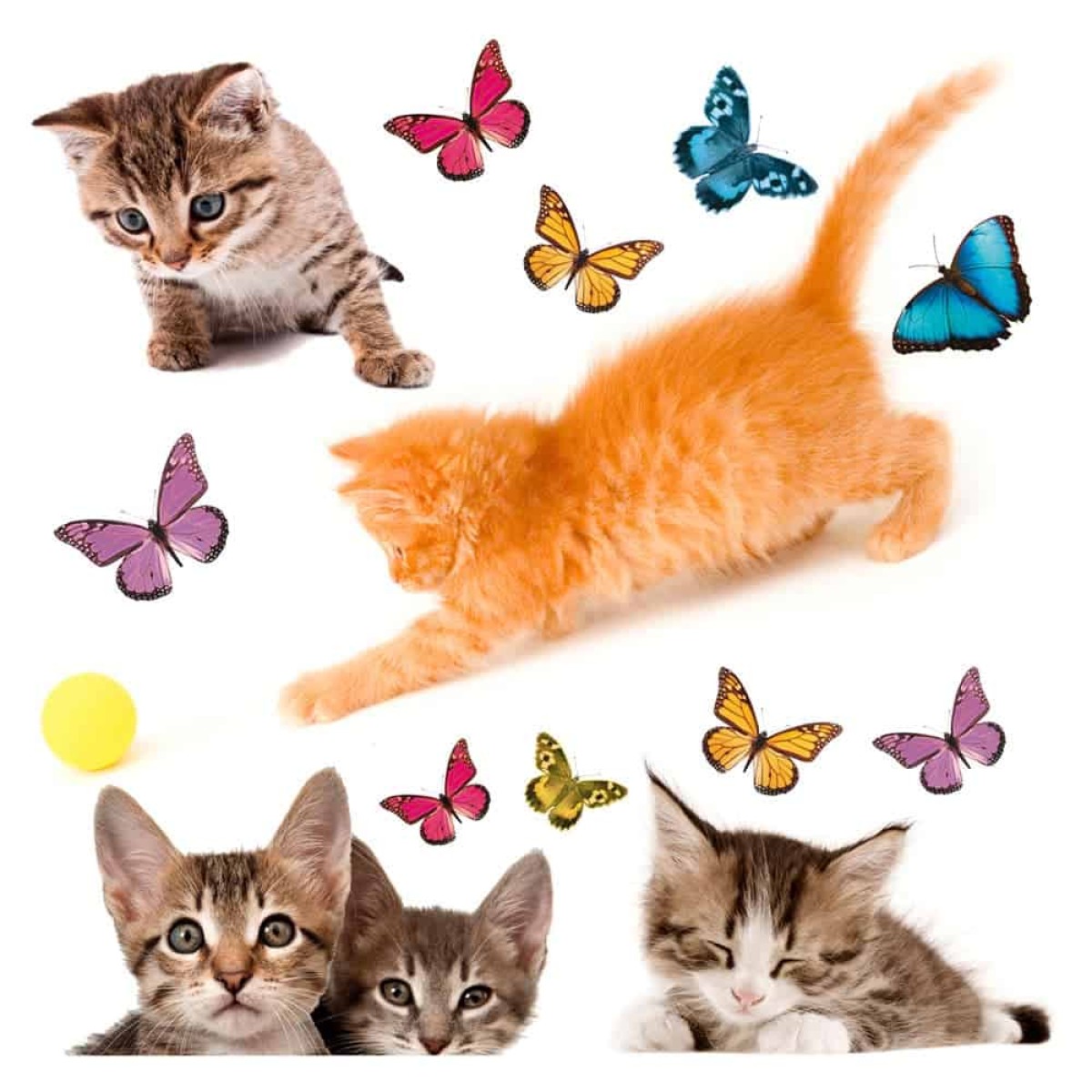 Cats αυτοκόλλητα βινυλίου για τζάμι M