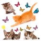 Cats αυτοκόλλητα βινυλίου για τζάμι M