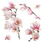 Magnolia αυτοκόλλητα βινυλίου για τζάμι