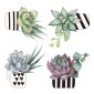 Cactus αυτοκόλλητα βινυλίου για τζάμι