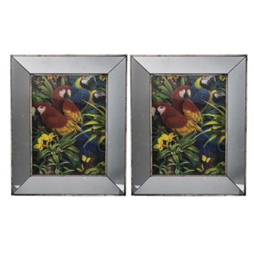 Artekko Srildac Κάδρα Σετ/2 Διακοσμητικά "Parrot" (43x4x53)cm