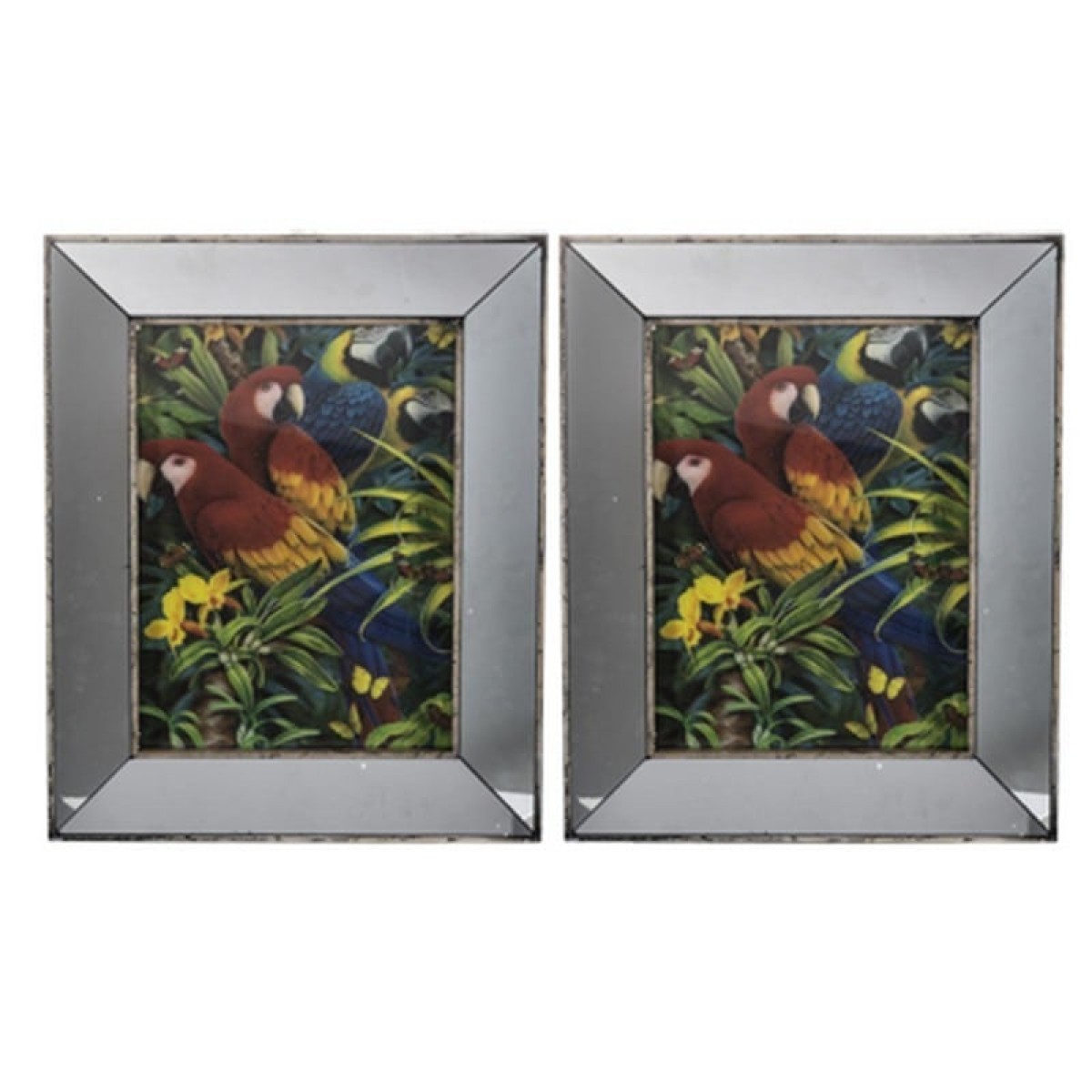 Artekko Srildac Κάδρα Σετ/2 Διακοσμητικά "Parrot" (43x4x53)cm