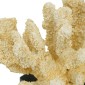 Artekko Coral Διακοσμητικό Κοράλλι σε Βάση Ρητίνη/Ξύλο Μπεζ (28x18x22)cm