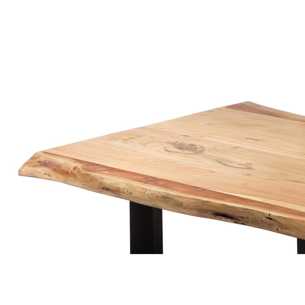 Artekko Ecriafloys Τραπέζι Τραπεζαρίας Ξύλινο (250x95x76)cm