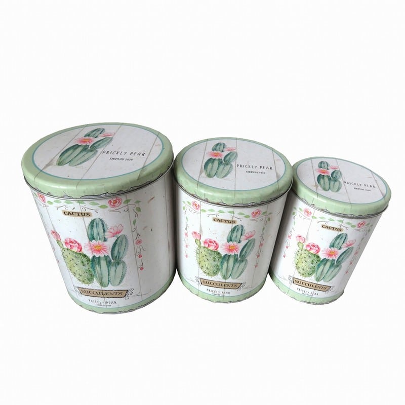 Artekko Enamel Πολύχρωμα Μεταλλικά Δοχεία Αποθήκευσης με Κάκτους 3pcs