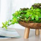 Artekko Woody Μπολ Διακοσμητικό από Ξύλο Teak Φυσικό Σετ/2