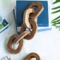 Artekko Woody Διακοσμητική Αλυσίδα από Ξύλο Teak Φυσική Απόχρωση (20x20x25)cm Σετ/2