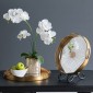 Artekko Tray Διακοσμητικός Δίσκος με Καθρέπτη Πλαστικό Γυαλί Χρυσό (40x40x4.4)cm Σετ/2
