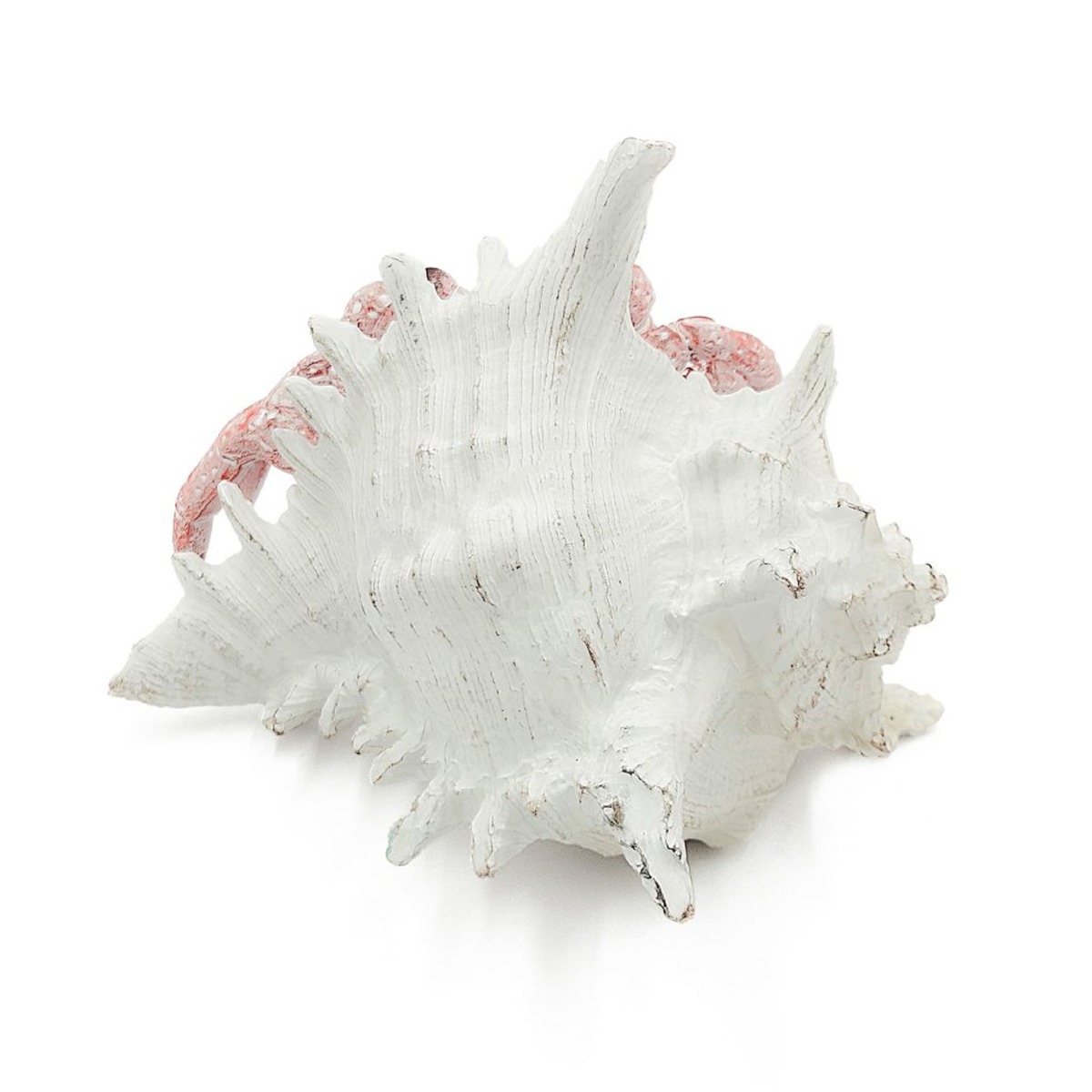 Artekko Animal Κόκκινο Επιτραπέζιο Διακοσμητικό Καβούρι σε Λευκό Κοχύλι από Ρητίνη (18.5x18x14.5)cm