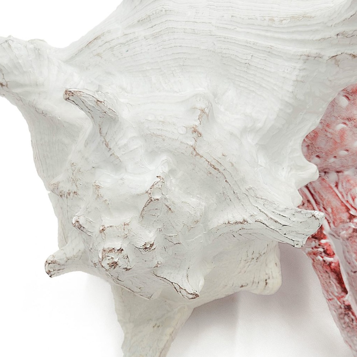 Artekko Animal Κόκκινο Επιτραπέζιο Διακοσμητικό Καβούρι σε Λευκό Κοχύλι από Ρητίνη (18.5x18x14.5)cm