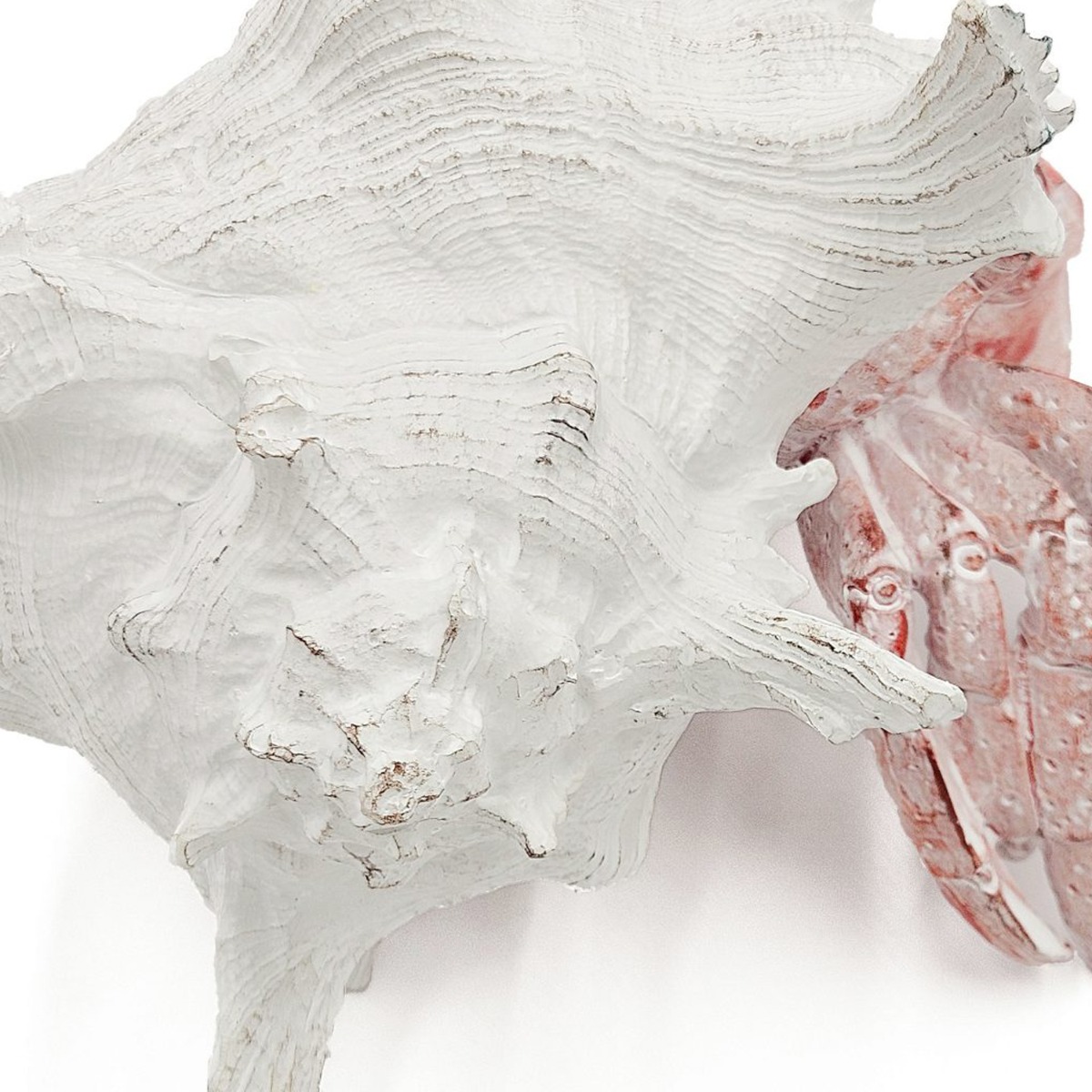 Artekko Animal Κόκκινο Επιτραπέζιο Διακοσμητικό Καβούρι σε Λευκό Κοχύλι από Ρητίνη (23.5x23.5x17.8)cm