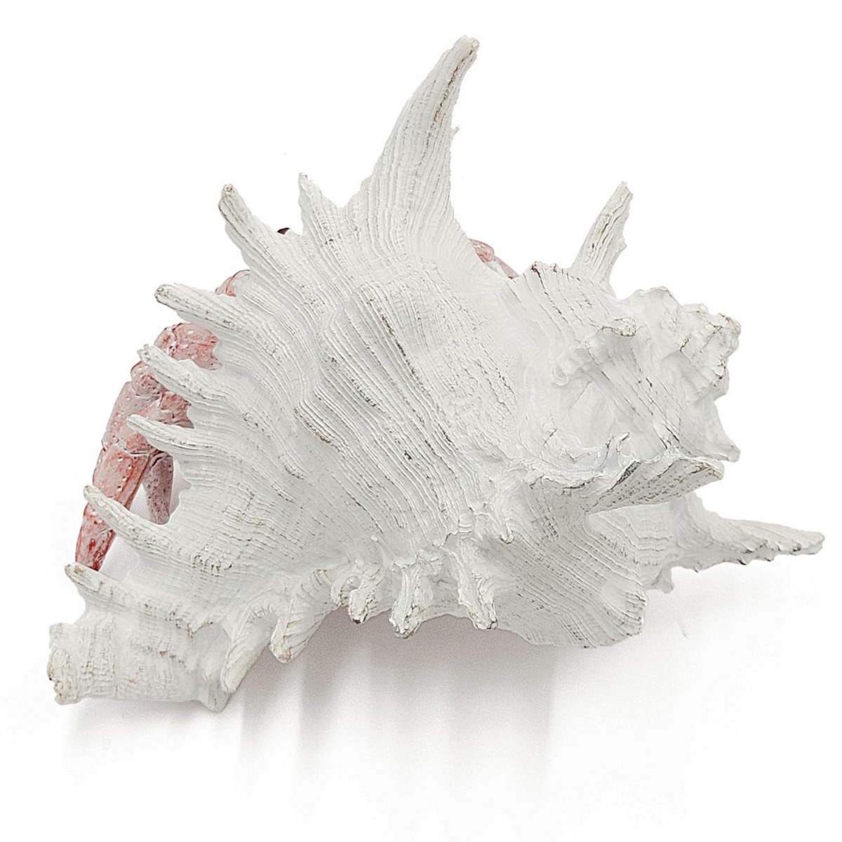 Artekko Animal Κόκκινο Επιτραπέζιο Διακοσμητικό Καβούρι σε Λευκό Κοχύλι από Ρητίνη (23.5x23.5x17.8)cm