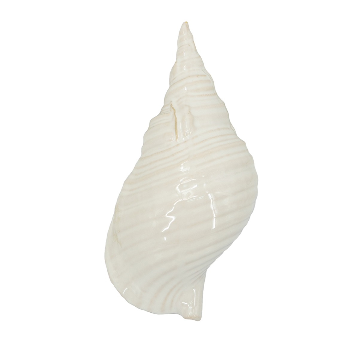Artekko Andes Λευκό Κεραμικό Επιτραπέζιο Διακοσμητικό Κοχύλι (31x15x11)cm