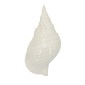 Artekko Andes Λευκό Κεραμικό Επιτραπέζιο Διακοσμητικό Κοχύλι (31x15x11)cm