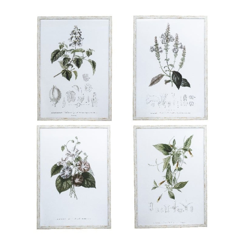 Artekko Botanical Καδράκια Τοίχου Λουλούδια Σετ/4 (50x3x70)cm