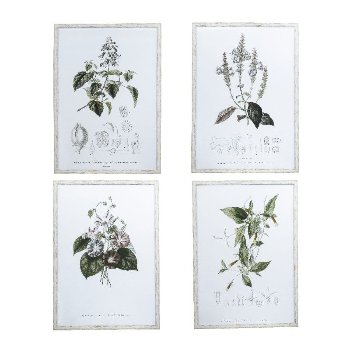 Artekko Botanical Καδράκια Τοίχου Λουλούδια Σετ/4 (50x3x70)cm