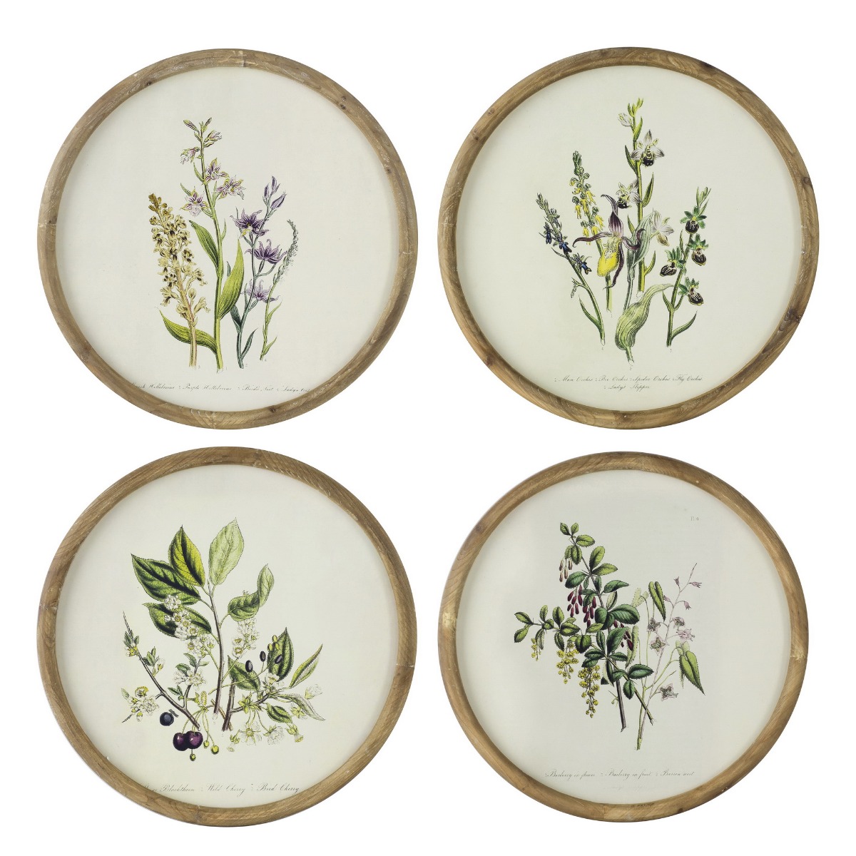 Artekko Botanical Πίνακας με Κορνίζα Ξύλο Εκρού Πράσινο (50x1.5x50)cm Σετ/4