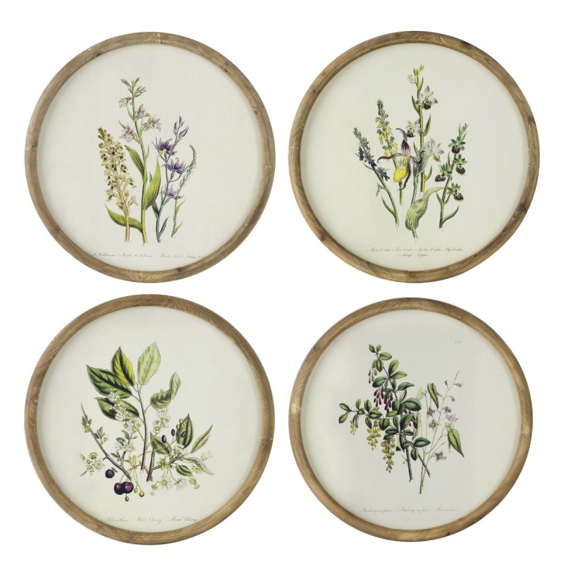 Artekko Botanical Πίνακας με Κορνίζα Ξύλο Εκρού Πράσινο (50x1.5x50)cm Σετ/4