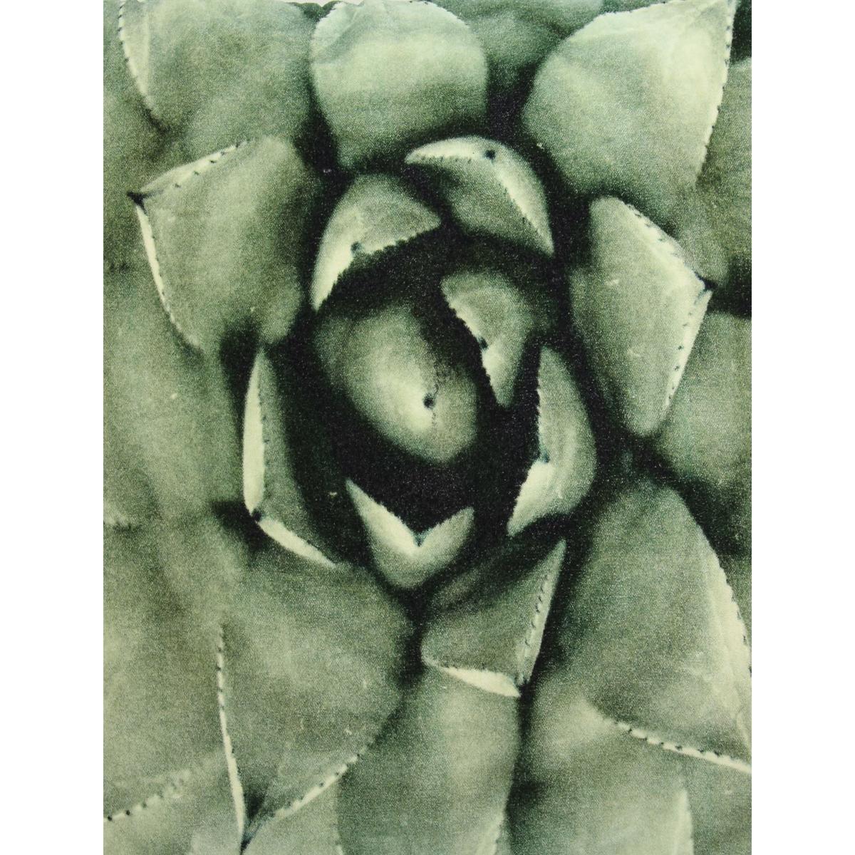 Μαξιλάρι ArteLibre Πράσινο Βελούδο 40x60cm
